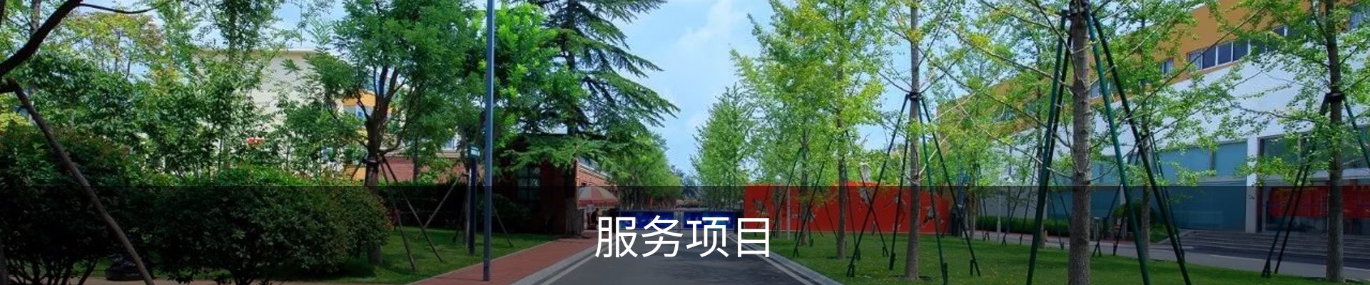 服务项目
